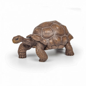 Papo Figurina Testoasa Galapagos