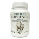 PRIMED Coprinus comatus 50g
