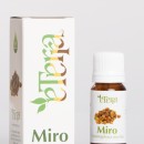 ETERRA ULjE MIRO