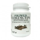 PRIMED Kordiceps 70g