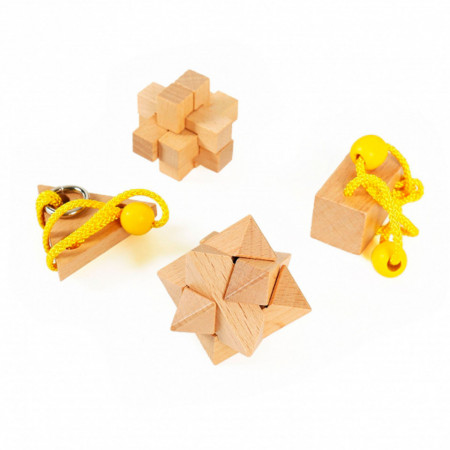 Set 4 piese Wooden Brain Puzzles Expert