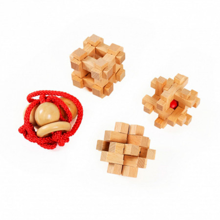 Set 4 piese Wooden Brain Puzzles Extreme