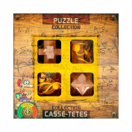 Set 4 piese Wooden Brain Puzzles Expert