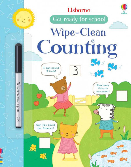 Carte de tip scrie și șterge la nesfârșit, Wipe-clean counting