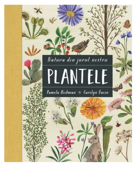 Natura din jurul nostru. Plantele - Pamela Hickman