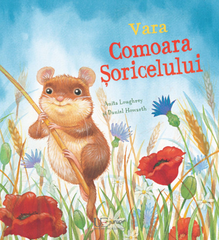 Vara. Comoara Soricelului (Quarto)