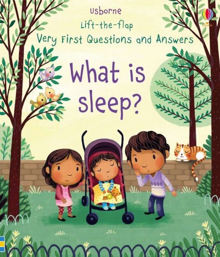 Carte cu multe clapete pentru copii curiosi, What is sleep? , usborne