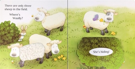 Animal hide and seek, Poppy and Sam’s, carte senzorială, touchy feely, pentru bebeluși, cu clapete, usborne