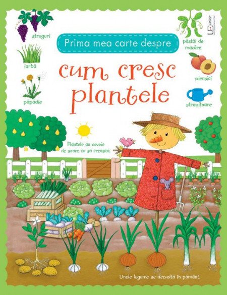 Cum cresc plantele, usborne