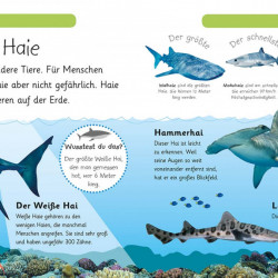 Carte in limba germana, Animale marine, Ich weiß was! Tiere im Meer, DK, 4+