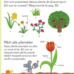 Cum cresc plantele, usborne