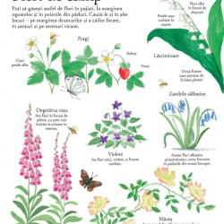 Marea carte ilustrata a naturii (Usborne)