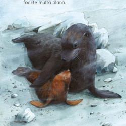 Pui de animale, Usborne