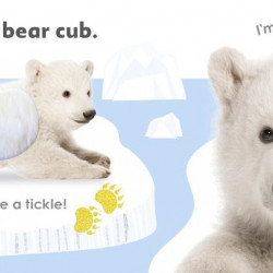 Really Feely Wild Animals, DK