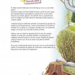 Vino cu noi prin padure! Animalele si plantele de-a lungul anului