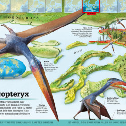 Atlasul dinozaurilor, Dinosaurier-Atlas, dk, 8+