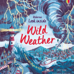 Carte cu multe clapete pentru copii curiosi, Look Inside Wild Weather, usborne, 5+