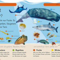 Carte in limba germana, Animale marine, Ich weiß was! Tiere im Meer, DK, 4+