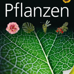 Carte in limba germana, plantele, pflanzen, 8+, Dk
