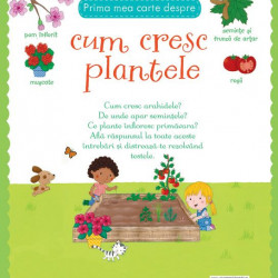 Cum cresc plantele, usborne