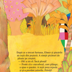Elmer si curcubeul - David McKee