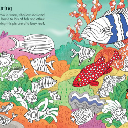 Little Children's Under the Sea Activity Book, Rebecca Gilpin, Usborne, 3+