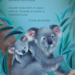 Noaptea și ziua, usborne