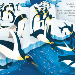 Pop-Up Birds, Laura Cowan, Usborne