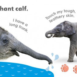 Really Feely Wild Animals, DK
