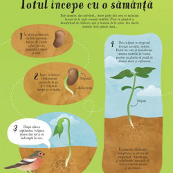 Totul începe cu o samanta, Usborne