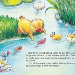 10 fluturi zboara veseli