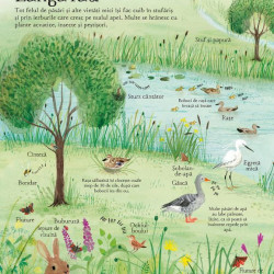 Marea carte ilustrata a naturii (Usborne)