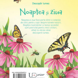 Noaptea și ziua, usborne