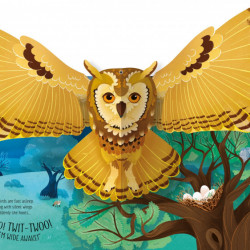 Pop-Up Birds, Laura Cowan, Usborne