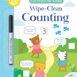 Carte de tip scrie și șterge la nesfârșit, Wipe-clean counting