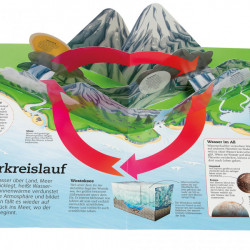 Carte in limba germana, Planeta Pamant, Verruckte erde, 6+, dK