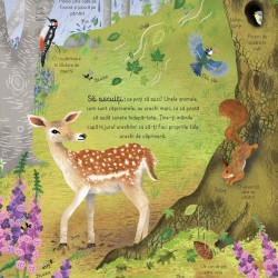 Cartea padurii, usborne