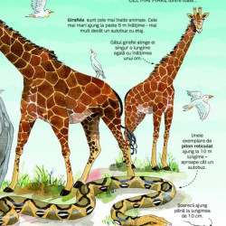 Marea carte a animalelor, Usborne
