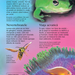 Prima mea enciclopedie despre animale, Usborne