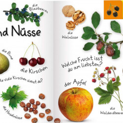 Carte in limba germana, primele cuvinte, Erstes Lernen : In der natur, DK, 12+