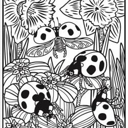 Carte magica de pictat doar cu apa, Bugs Magic Painting Book, usborne