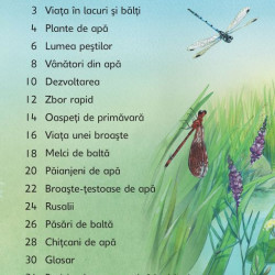 Lacuri și balti, Usborne