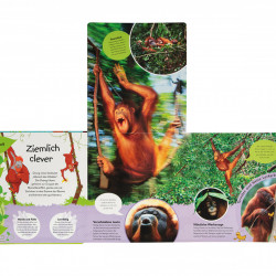 Marea mea carte plianta, Mein riesengroßes Ausklappbuch. Tiere, dk, 3+