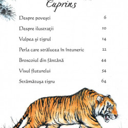 Povesti ilustrate din China, Usborne