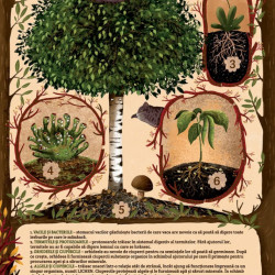 Prietenii uimitoare din lumea plantelor si a animalelor, Emilia Dziubak, 3+