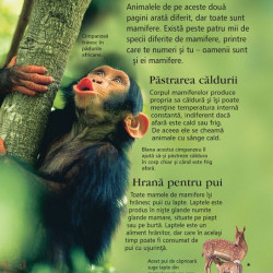 Prima mea enciclopedie despre animale, Usborne