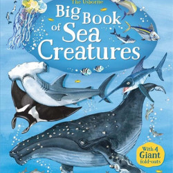 Big book of sea creatures, Usborne