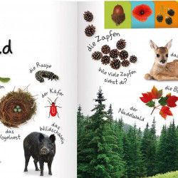 Carte in limba germana, primele cuvinte, Erstes Lernen : In der natur, DK, 12+