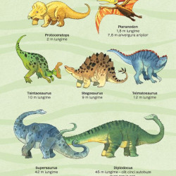 Marea carte a dinozaurilor, Usborne