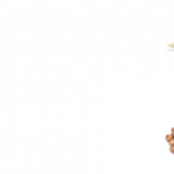 Steady blend touch, Ulei esential pentru copii kids collection, 10 ml pentru relaxare si stare de liniste, doterra